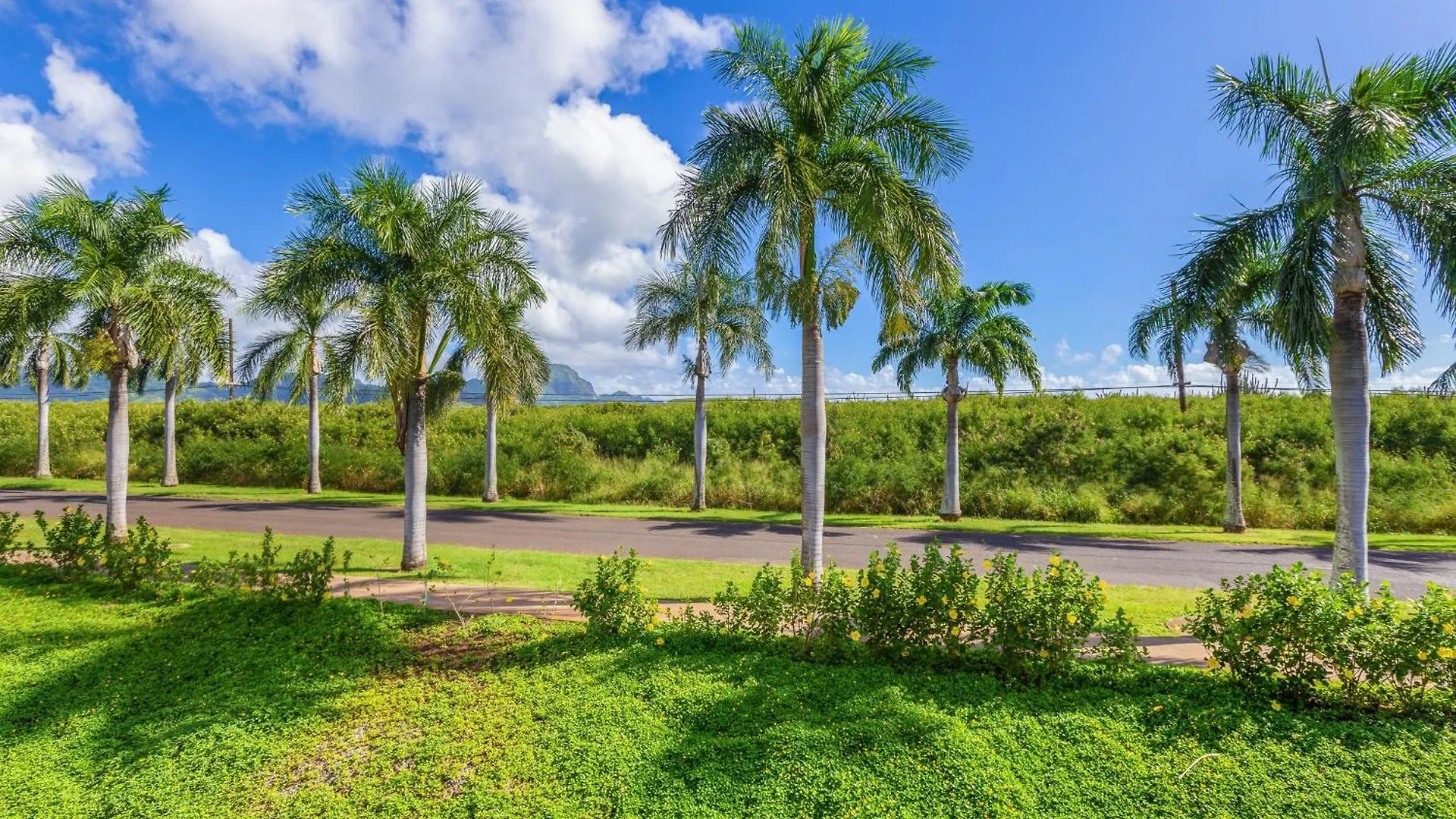 Apartmán Pili Mai III Koloa